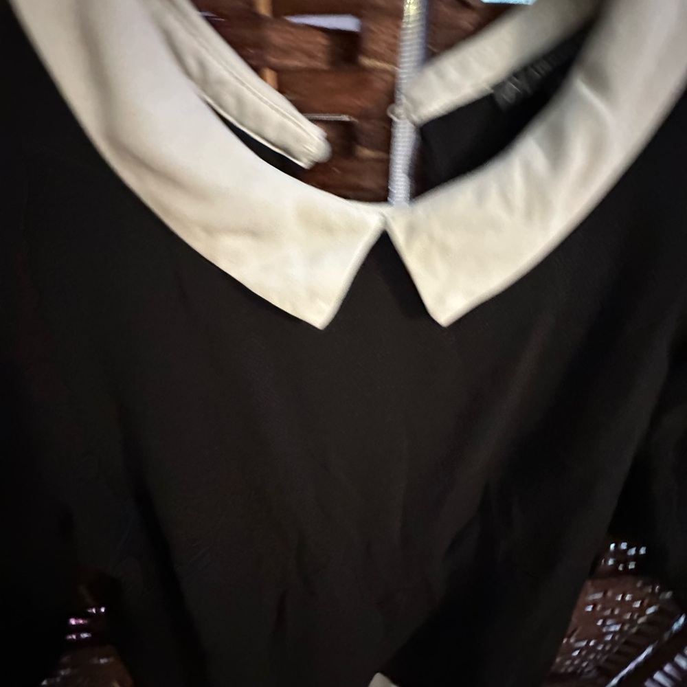 Adrianna Papell Dress Blouse with White collar and trim - Picture 3 of 6